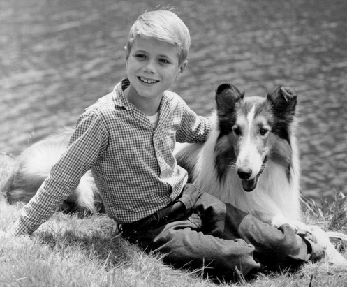 14 Ways to Get Your New Dog to Trust, Love, and Respect You – 3 Lost Dogs