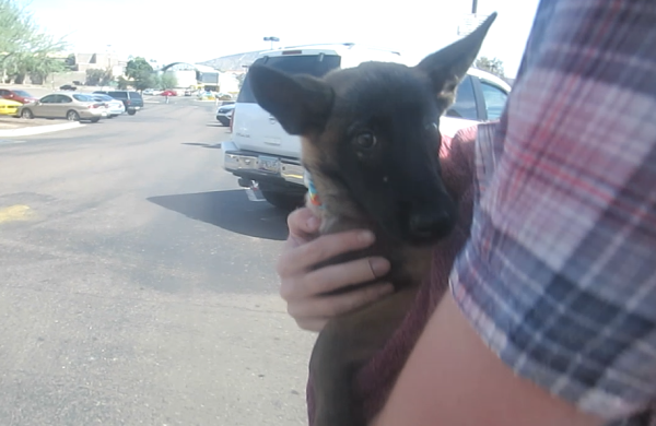 My poor scared puppy on adoption day