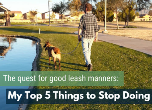 Is your dog's leash pulling driving you crazy? Here are 5 things you can stop doing