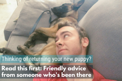 Puppy Regret: Friendly advice from someone who's been there