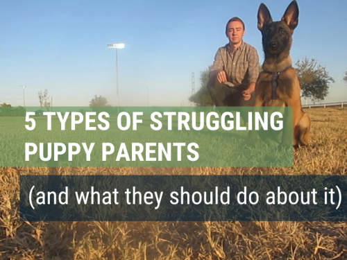 5 Types of Struggling Puppy Parents