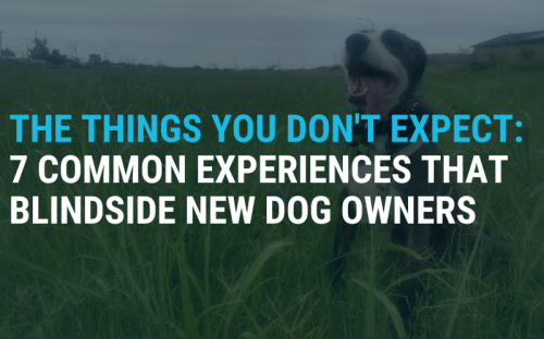 post image the things you don't expect